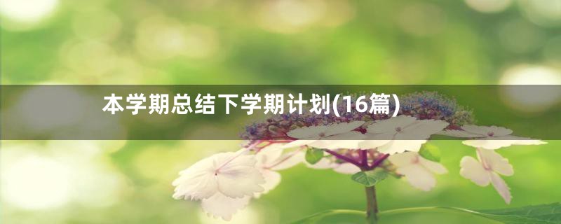 本学期总结下学期计划(16篇)