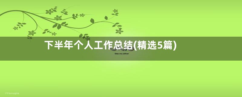 下半年个人工作总结(精选5篇)