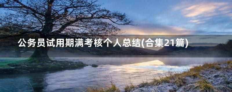 公务员试用期满考核个人总结(合集21篇)