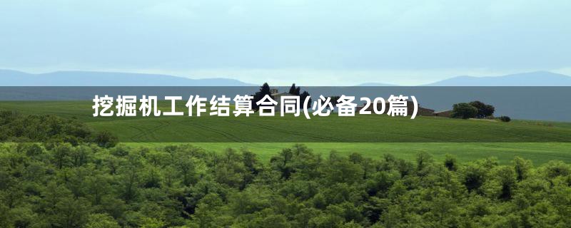 挖掘机工作结算合同(必备20篇)
