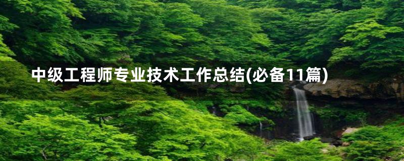 中级工程师专业技术工作总结(必备11篇)