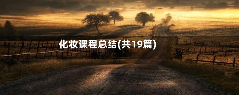 化妆课程总结(共19篇)