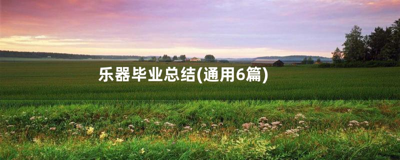 乐器毕业总结(通用6篇)