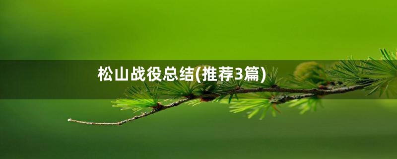 松山战役总结(推荐3篇)