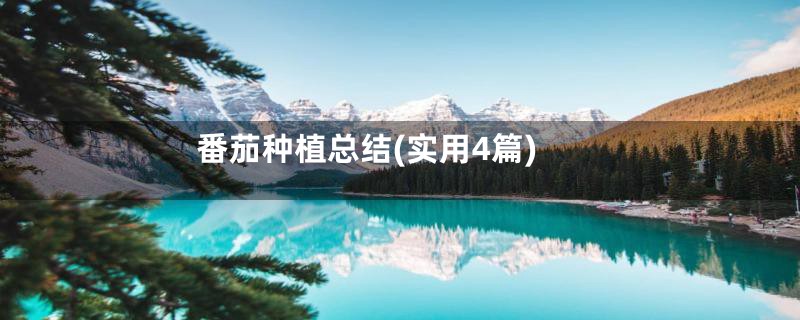 番茄种植总结(实用4篇)