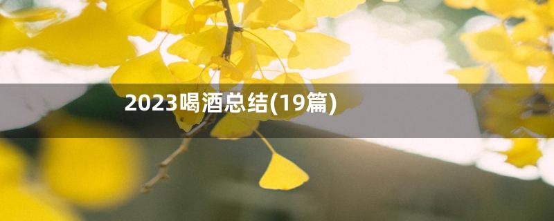 2023喝酒总结(19篇)