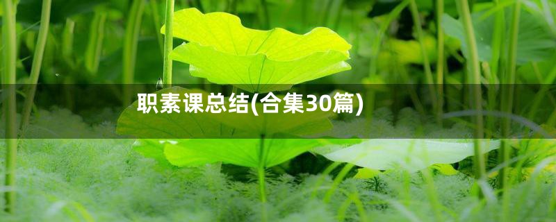 职素课总结(合集30篇)
