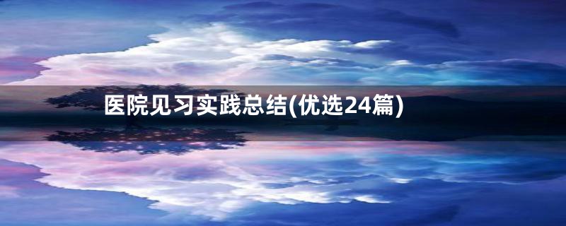 医院见习实践总结(优选24篇)