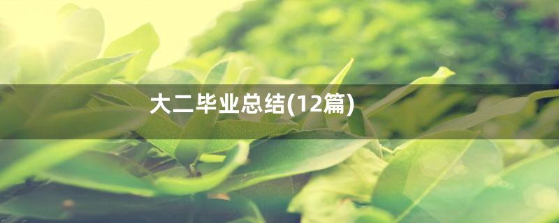 大二毕业总结(12篇)