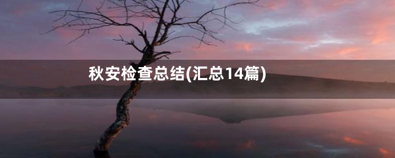 秋安检查总结(汇总14篇)