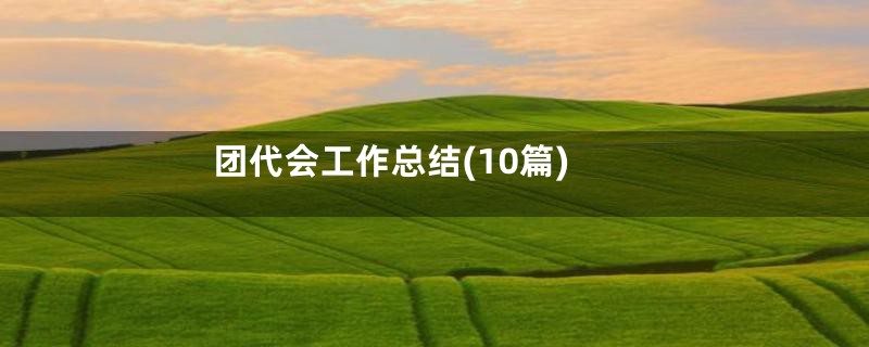 团代会工作总结(10篇)