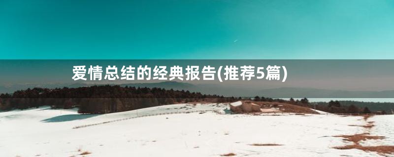 爱情总结的经典报告(推荐5篇)