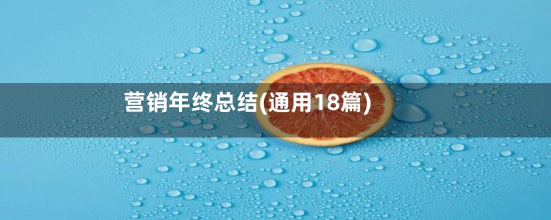 营销年终总结(通用18篇)