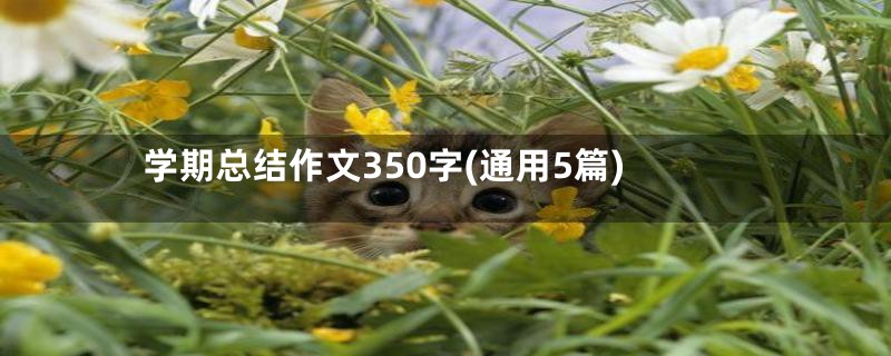 学期总结作文350字(通用5篇)