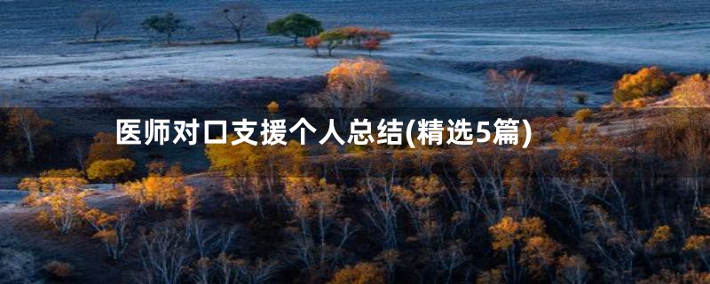 医师对口支援个人总结(精选5篇)