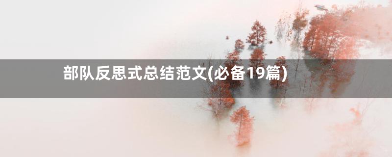部队反思式总结范文(必备19篇)