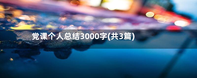 党课个人总结3000字(共3篇)