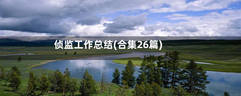 侦监工作总结(合集26篇)