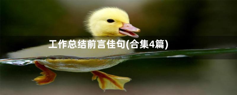 工作总结前言佳句(合集4篇)