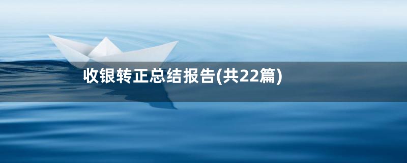 收银转正总结报告(共22篇)