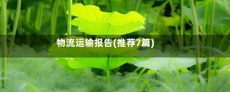 物流运输报告(推荐7篇)