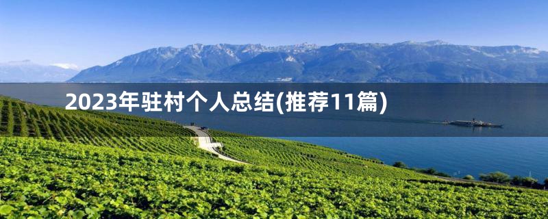 2023年驻村个人总结(推荐11篇)