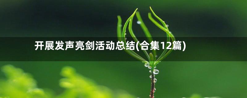 开展发声亮剑活动总结(合集12篇)