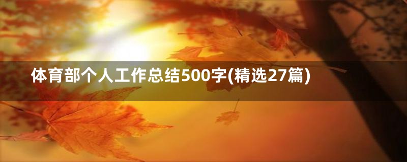 体育部个人工作总结500字(精选27篇)