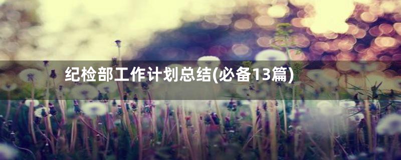 纪检部工作计划总结(必备13篇)