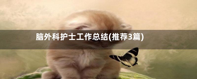 脑外科护士工作总结(推荐3篇)