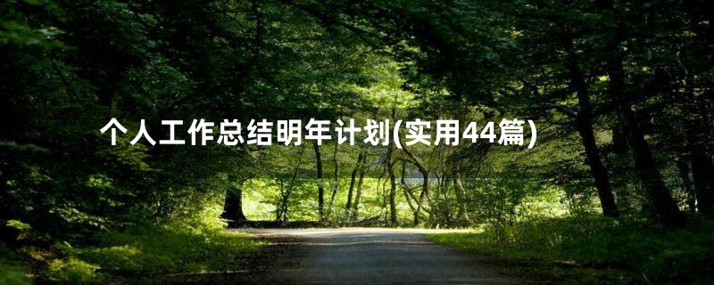 个人工作总结明年计划(实用44篇)