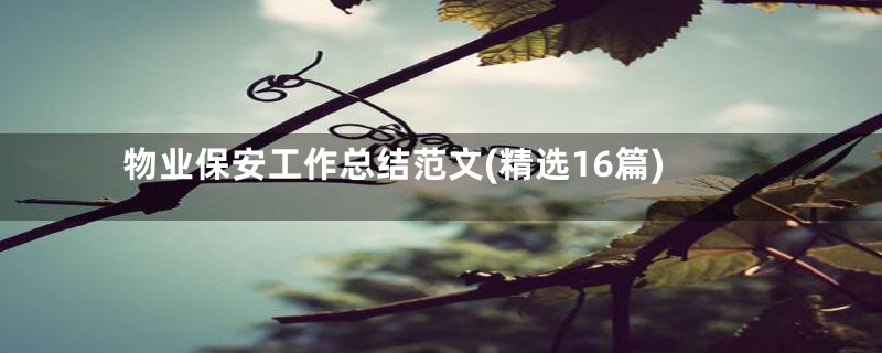 物业保安工作总结范文(精选16篇)