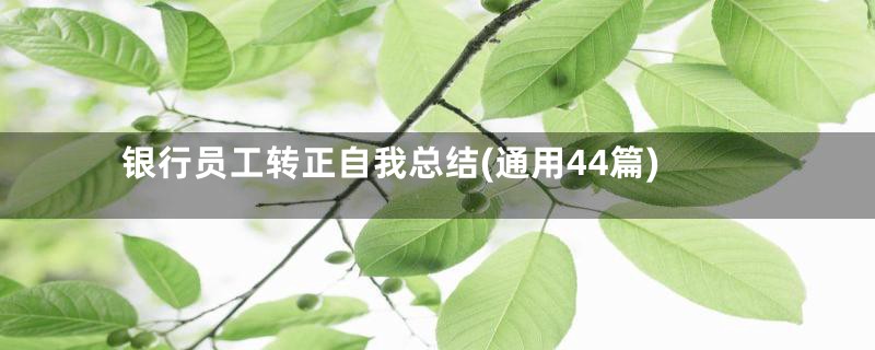 银行员工转正自我总结(通用44篇)