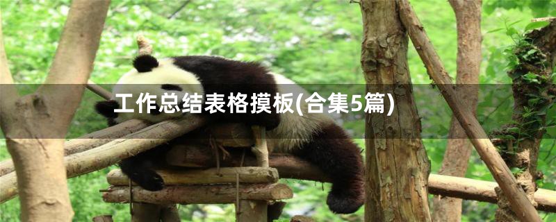 工作总结表格摸板(合集5篇)