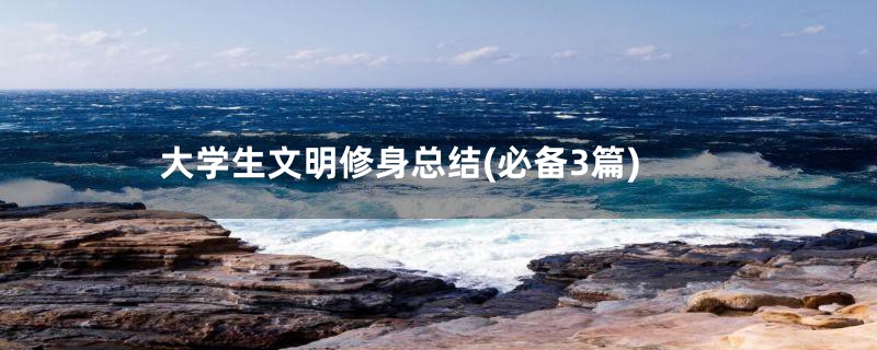大学生文明修身总结(必备3篇)
