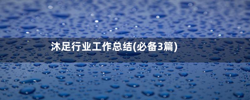 沐足行业工作总结(必备3篇)