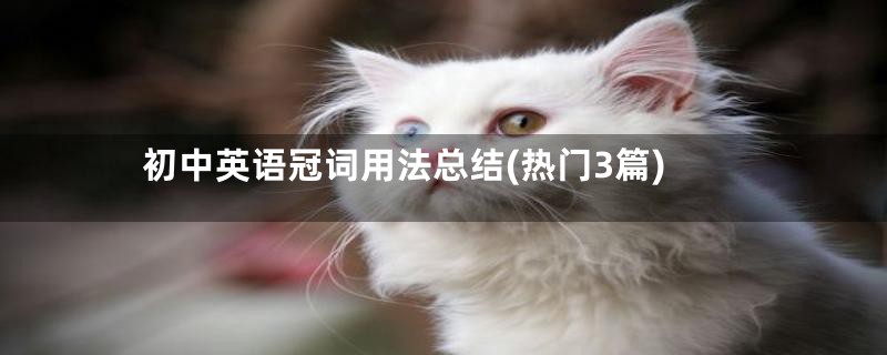 初中英语冠词用法总结(热门3篇)