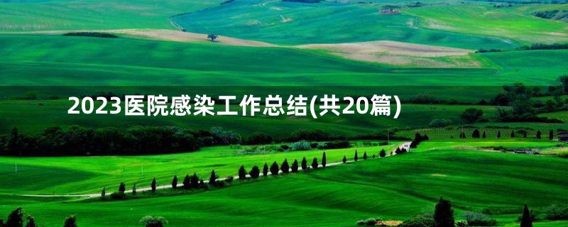 2023医院感染工作总结(共20篇)