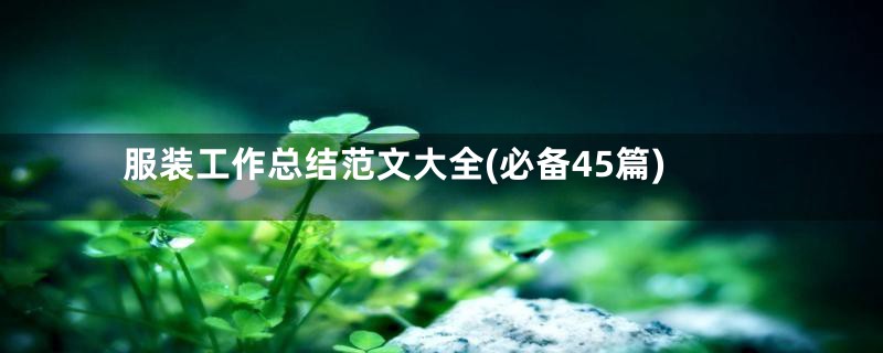 服装工作总结范文大全(必备45篇)