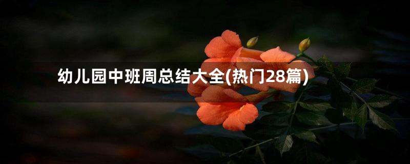 幼儿园中班周总结大全(热门28篇)