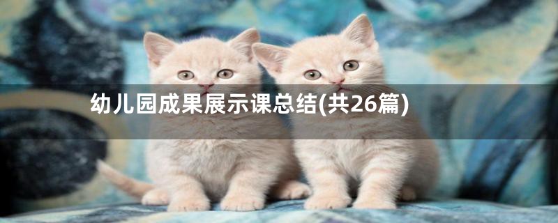 幼儿园成果展示课总结(共26篇)
