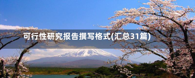 可行性研究报告撰写格式(汇总31篇)