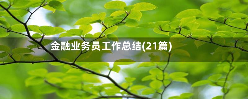金融业务员工作总结(21篇)