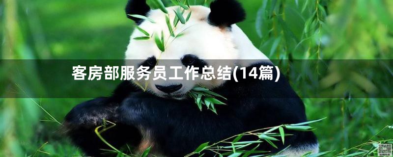 客房部服务员工作总结(14篇)