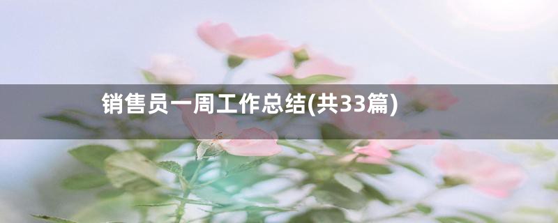 销售员一周工作总结(共33篇)