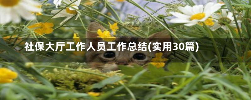 社保大厅工作人员工作总结(实用30篇)