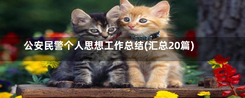 公安民警个人思想工作总结(汇总20篇)
