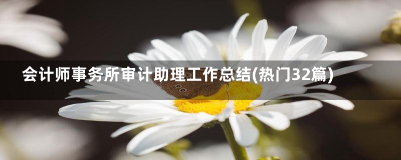会计师事务所审计助理工作总结(热门32篇)