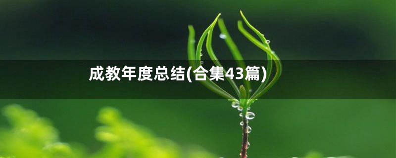 成教年度总结(合集43篇)
