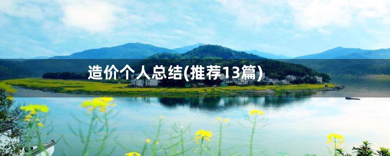 造价个人总结(推荐13篇)